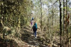 WhatsApp-Image-2025-04-20-at-3.14.37-PM-1