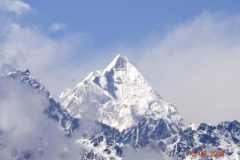 WhatsApp-Image-2025-04-20-at-3.14.37-PM-2