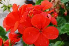 WhatsApp-Image-2025-04-20-at-3.14.37-PM