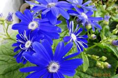 WhatsApp-Image-2025-04-20-at-3.14.38-PM-2