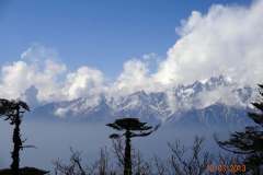 WhatsApp-Image-2025-04-20-at-3.14.38-PM