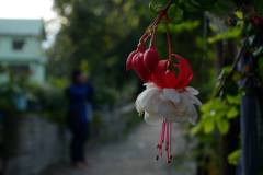 462893328_3930430097192400_2400807504106185318_n