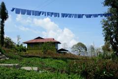 463060388_3930430240525719_1447895318461971888_n