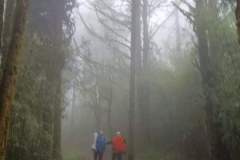 FB_IMG_1709878397466