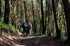 FB_IMG_1709878401104