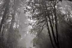 WhatsApp-Image-2025-04-21-at-5.59.19-PM-1