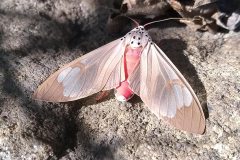 80542900_1379496492228413_1659516646676496384_n