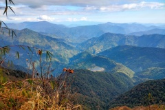 BAJREDARA-TREK-2020-5