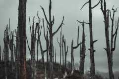 BAJREDARA-TREK-2020-6