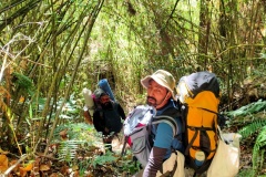 BAJREDARA-TREK-2020-9