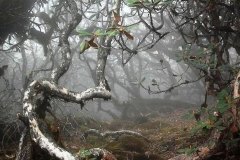 WhatsApp-Image-2025-04-20-at-2.43.09-PM-2