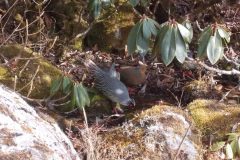 WhatsApp-Image-2025-04-20-at-2.43.10-PM-1