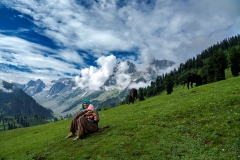 Kashmir-Great-Lake-Trek-KGL-2022-1