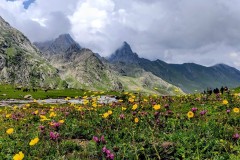 Kashmir-Great-Lake-Trek-KGL-2022-2