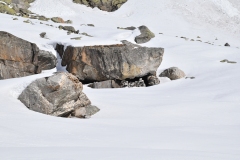 DEOTIBBA-WINTER-EXPED-2020-9